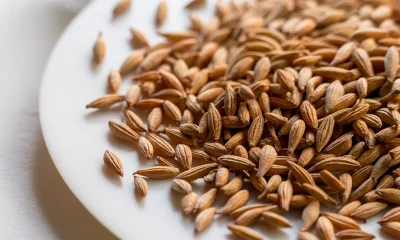 Johannisbrotkernmehl